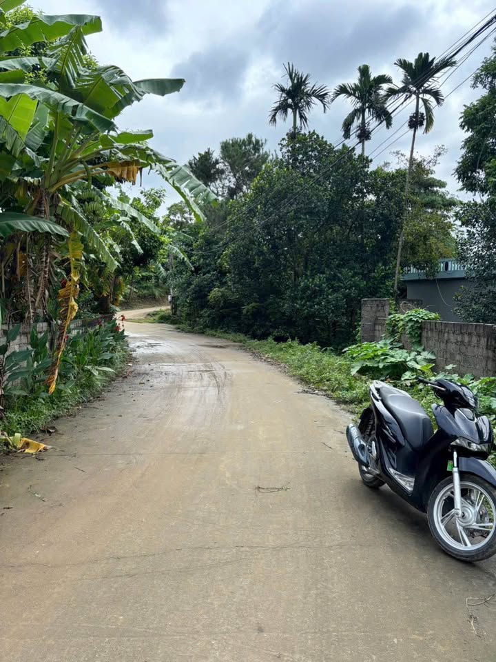 Đất Hòa Sơn view cánh đồng, đường ô tô tận nơi