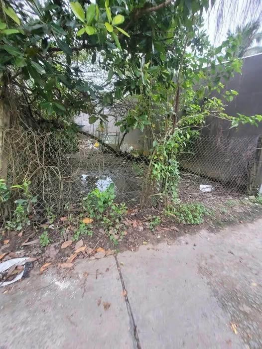 Đất nền Sơn Đông, Bến Tre - Đường thông 4 chỗ, giá chỉ 380 triệu