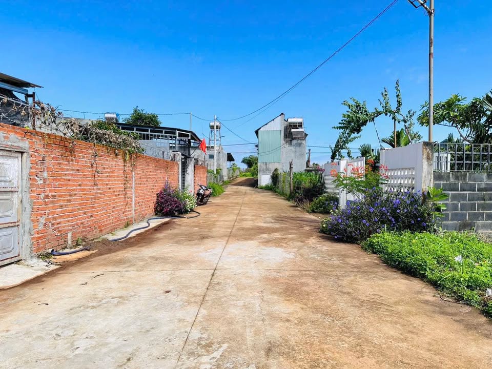 Đất đẹp Eakao, iew cánh đồng, đường rộng, giá chỉ 990 triệu