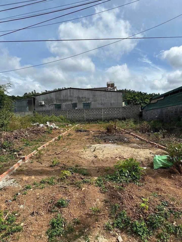 Mảnh đất vuông vắn, vị trí đắc địa, sẵn sàng xây tổ ấm