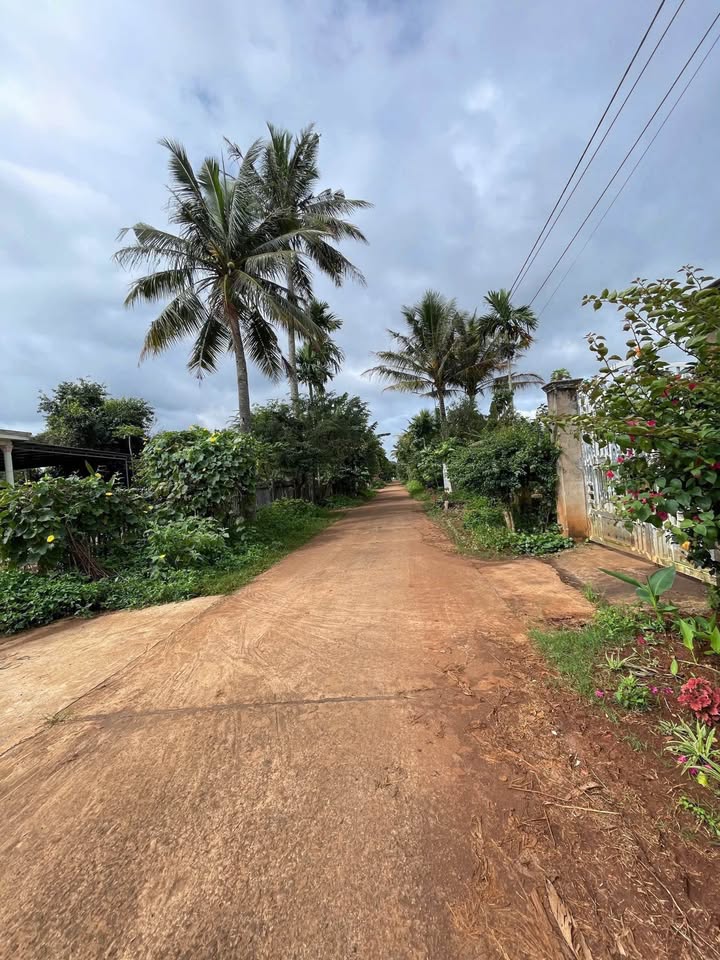 Cơ hội vàng cho nhà đầu tư thông thái! Lô đất mặt tiền đường N7, Buôn Ju, Ea Tu, thành phố Buôn Ma Thuột