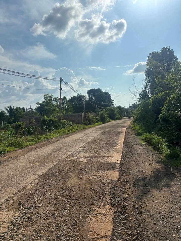 Đất vườn xanh mát, thoáng đãng - Nơi an yên giữa lòng Buôn Ma Thuột