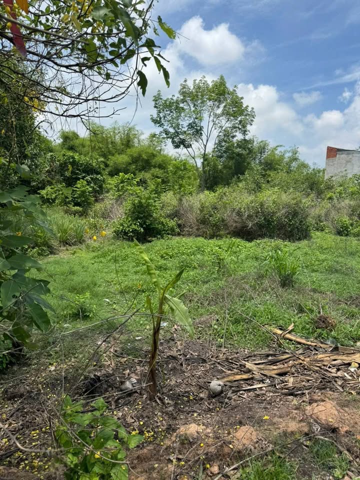 Siêu phẩm đất nền x35m, sở hữu 50m2 thổ cư, mặt tiền đường nhựa rộng rãi