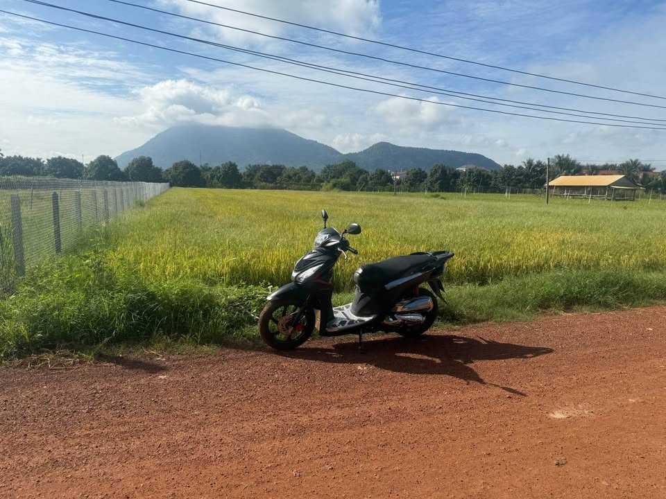 Đất Tân Hưng, Tân Châu 5x63m, 100m² thổ cư, dân cư đông đúc, đường thông thoáng, gần DT785!