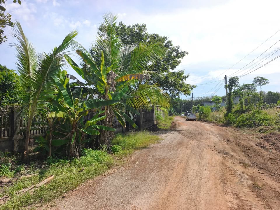 Đất vườn Dĩ An - Cơ hội vàng sở hữu lâu dài