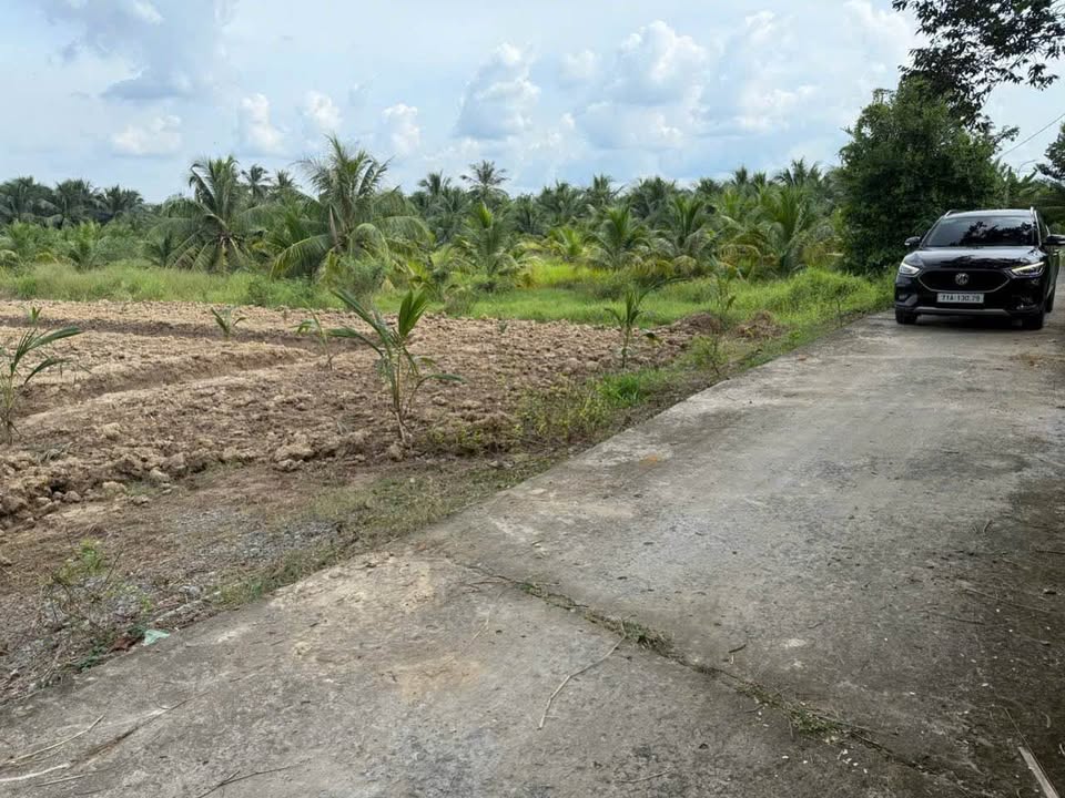 Đất vườn Phú Hưng - Nơi an yên giữa lòng Bến Tre