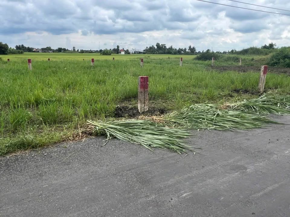 Đất nền Phú Thành - Đầu tư sinh lời ngay