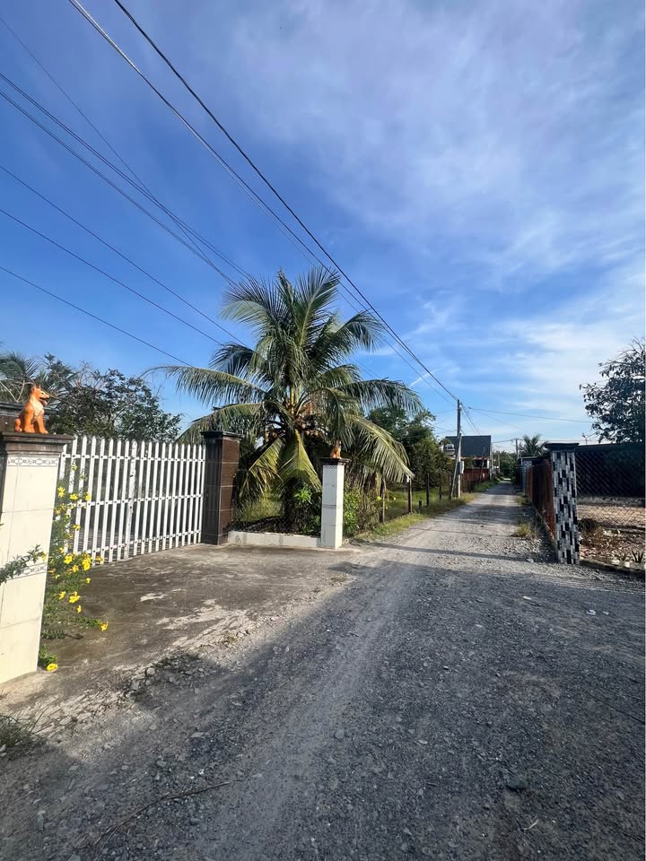 Đất Gò Dầu 20x35m, 55,3 tỷ, sổ riêng từng nền, ô tô vào tận nơi