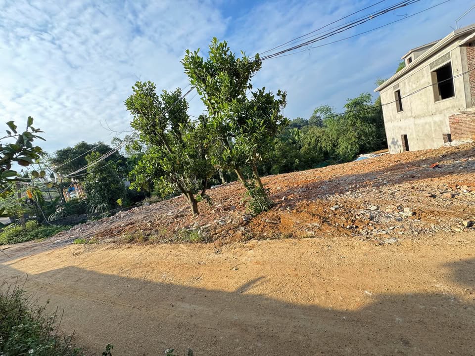 Đất nền 107m² mặt tiền 5m tại Khu 4, Thanh Đình, Việt Trì