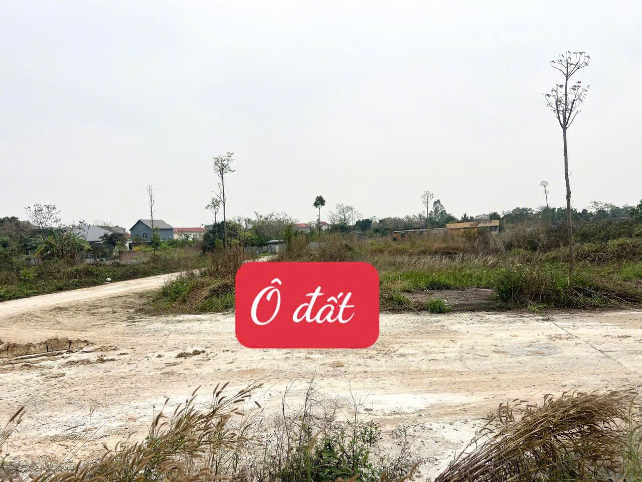 Góc 2 mặt tiền 145m² hơn 2 tỷ 9, Vĩnh Phúc chốt ngay