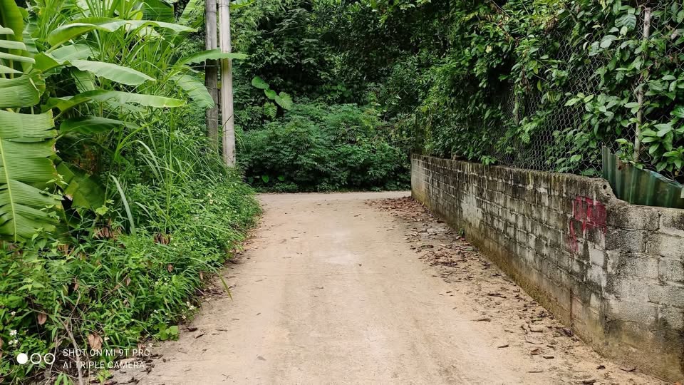 Lô góc 2 mặt đường 200m2 trung tâm Bắc Lệnh, tiềm năng sinh lời cao