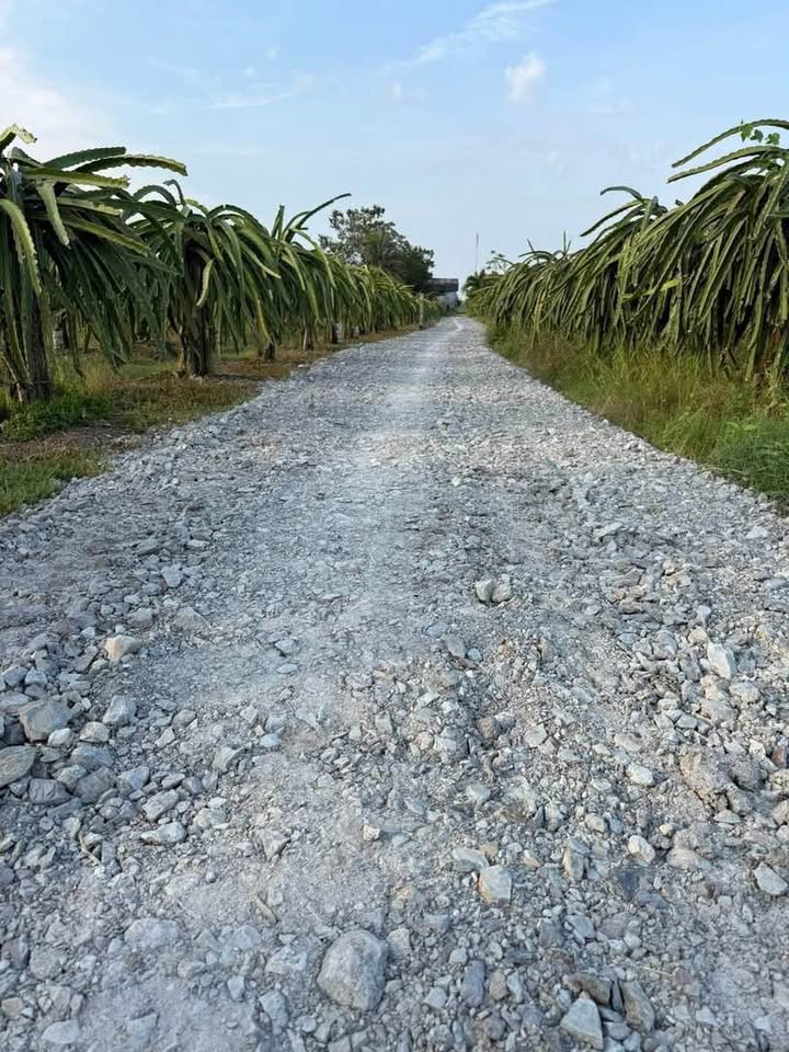 Đất x35m, 370 triệu, sổ hồng sẵn sàng, đường ô tô thông thoáng