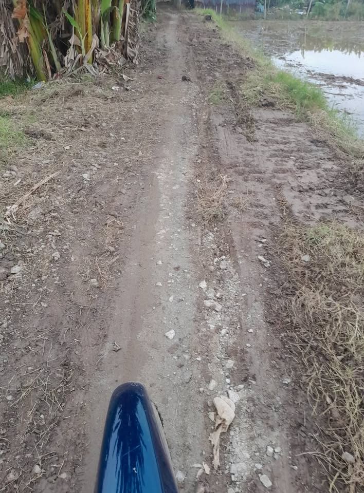 Bán gấp 3.600m2 đất ruộng Thoại Sơn, mặt tiền 50m, giá chỉ 120 triệu/1000m2