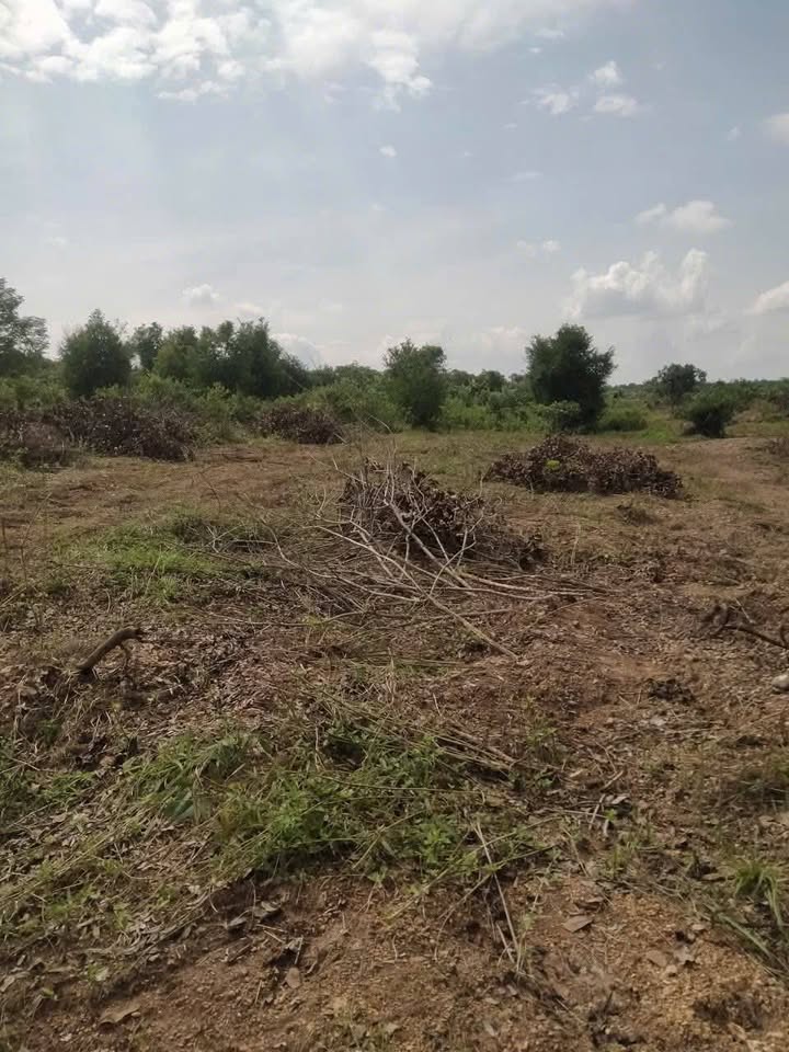 Đất Buôn Niêng 3 Eanuol, Đắk Lắk diện tích 9.3 sào, giá 180 triệu/sào