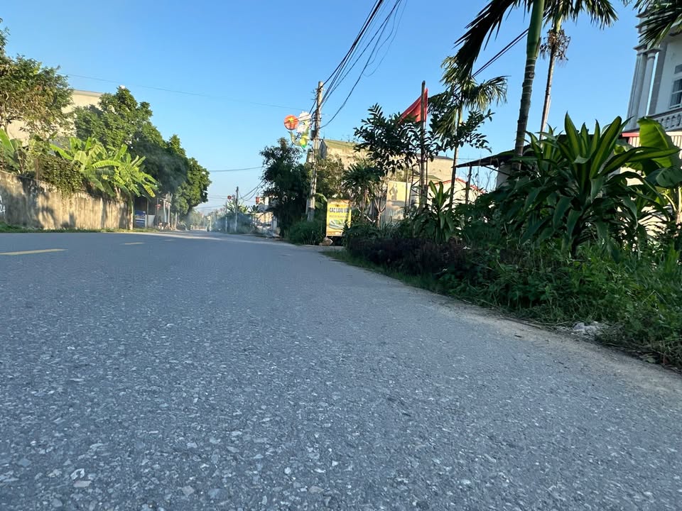 Đất vàng tỉnh lộ 305 kinh doanh bạt ngàn, giá hời như mơ