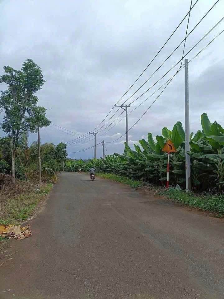 Bán đất diện tích 1.000m² tọa lạc tại xã Phú Hòa, huyện Định Quán, tỉnh Đồng Nai