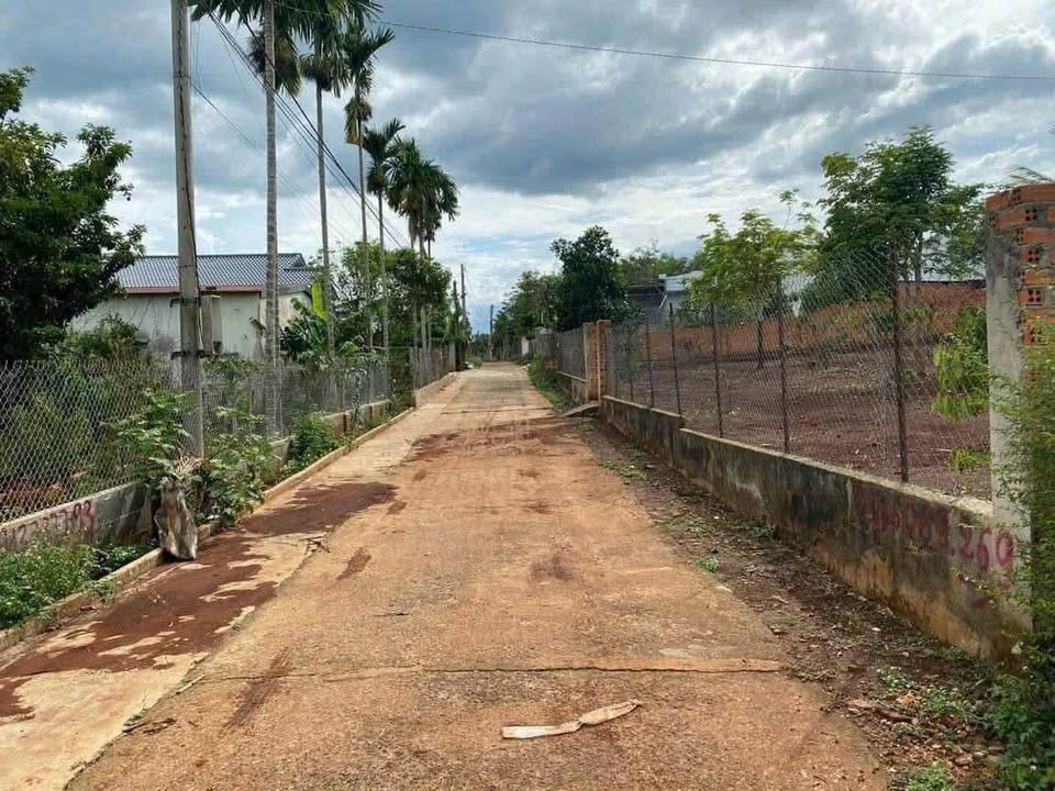 Đừng bỏ lỡ cơ hội sở hữu đất vàng tại Hòa Thắng, phường Tân Lập, khu vực đang "sốt" với tiềm năng sinh lời cực cao