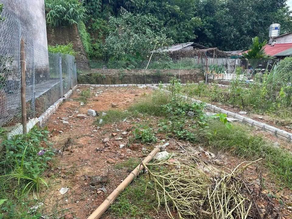 Đất vàng Yên Bái mặt hồ thoáng đãng, ngõ ô tô, giá hời