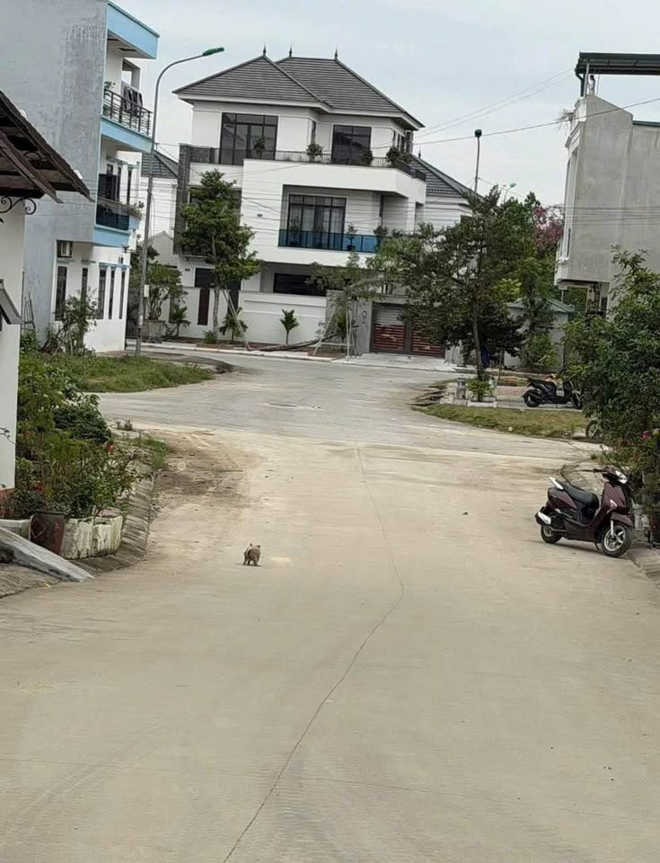 Nhà 50m2, 3 phòng ngủ, ô tô tránh, ngay Nam Ngạn - Thanh Hóa