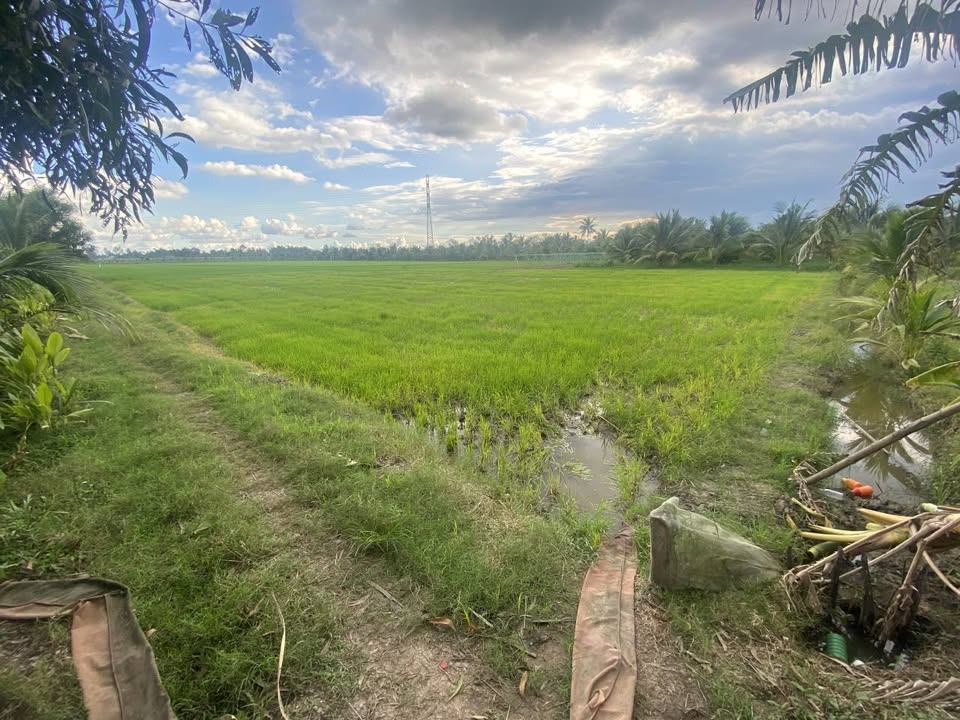 Bán đất mặt tiền đường Bờ Kênh, Hòa Lạc, Châu Thành, Trà Vinh