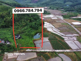 Bán đất 1.3 hecta view ao, đồng lúa, lưng tựa núi tại Hải Phòng