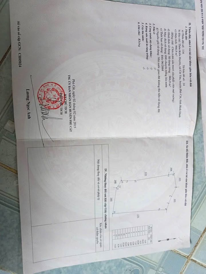 Bán gấp 1000m2 đất lúa Bình Định giá 79 triệu