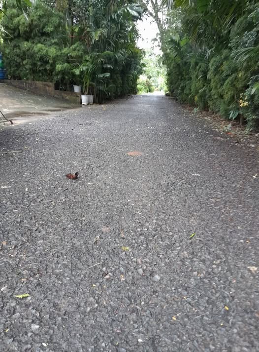 Bán đất 188m2 mặt tiền 6m, 460 triệu tại Sa Đéc, Đồng Tháp