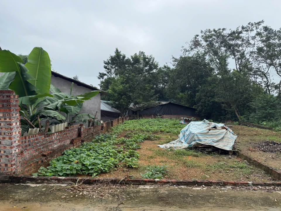 Cơ hội sở hữu ngay lô đất kim cương tại Quan Đình, Tam Quan, Tam Đảo, Vĩnh Phúc