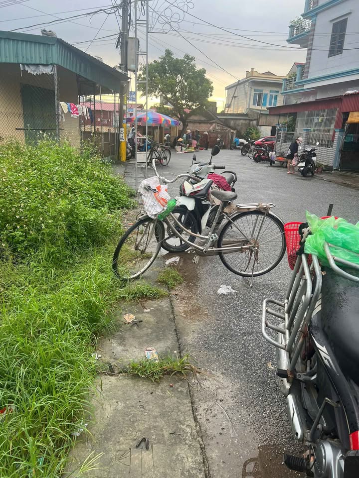 Đất vàng Đông Hưng kinh doanh bạt ngàn, giá hời