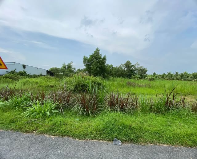 Đất mặt tiền kinh doanh, tỉnh Lộ 911, Trà Vinh, vị trí đắc địa