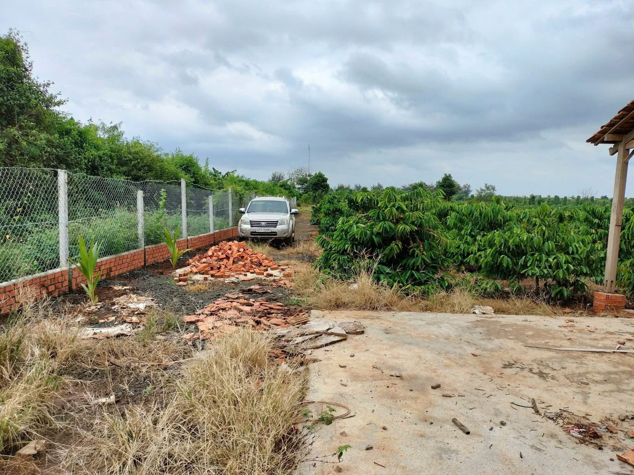 Bán đất rẫy 3.6 sào mặt tiền đẹp tại Hòa Khánh, Đắk Lắk