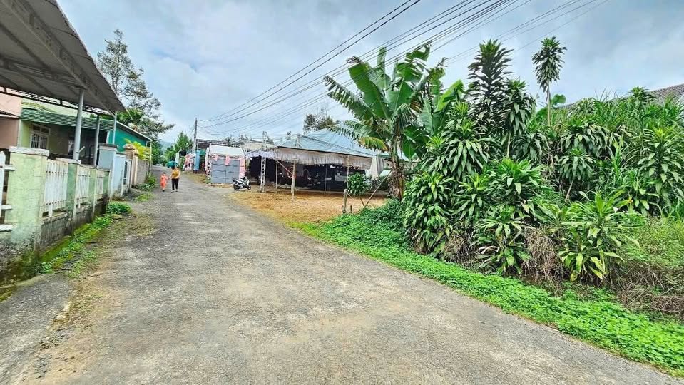 Bán đất hẻm 273 đường 1/5, Phường Blao, Bảo Lộc - 1.35 tỷ