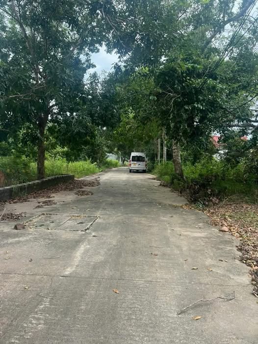 Bán đất tặng nhà 1 sẹc Búng Gội, Phú Quốc, sổ đỏ sạch, dòng tiền tốt