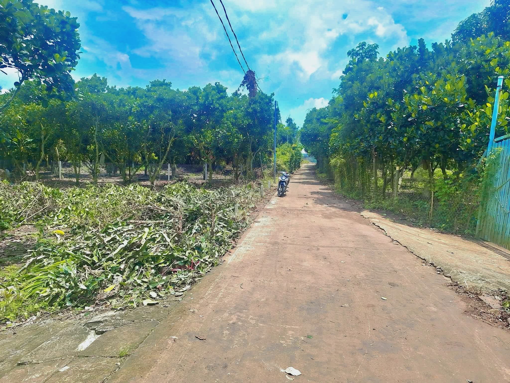 Đất nền Long Khánh siêu hot, sát mặt đường Hàm Nghi, giá chỉ 860 triệu