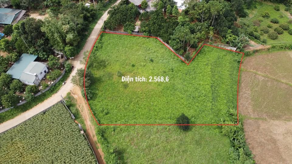 Đất nghỉ dưỡng tuyệt đẹp tại Nật Sơn, Phú Thọ view núi non hùng vĩ, giá siêu hấp dẫn