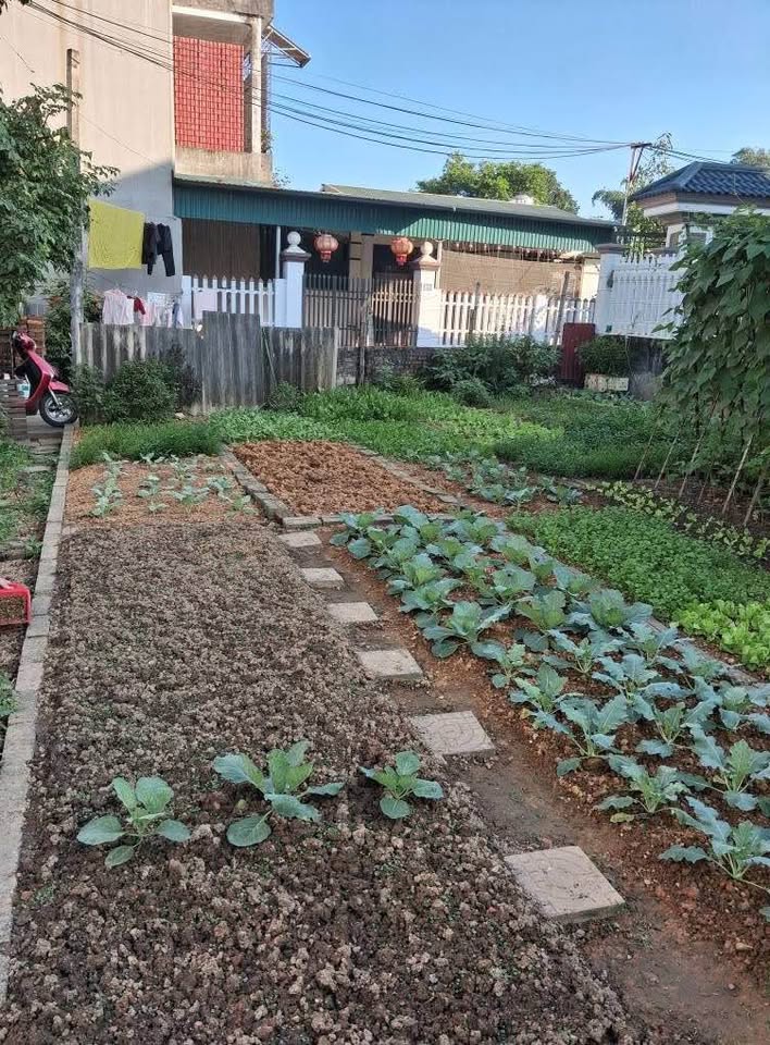 Lô đất 92.5m² đường Phùng Khắc Khoan, ô tô tránh, hướng Tây Nam