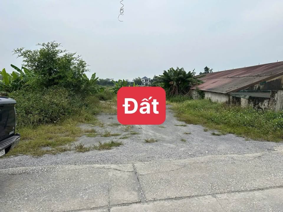 Chính chủ bán gấp đất vàng khu công nghiệp Bình Lục