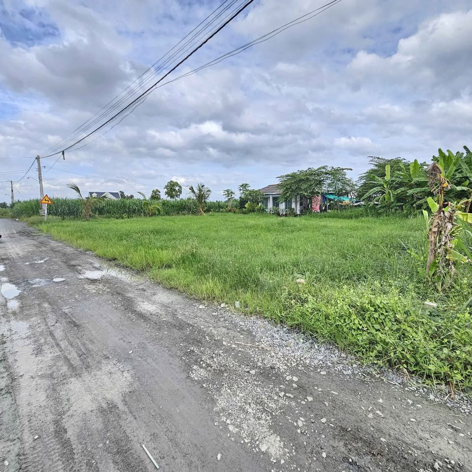 Bán đất nền 100m² thổ cư tại Gò Công Tây, Tiền Giang, giá tốt