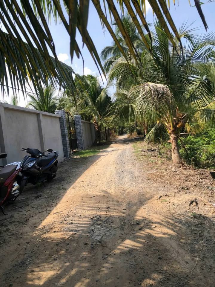 Đất nền Tân Phú, Châu Thành, Tiền Giang - Giá hời 550 triệu