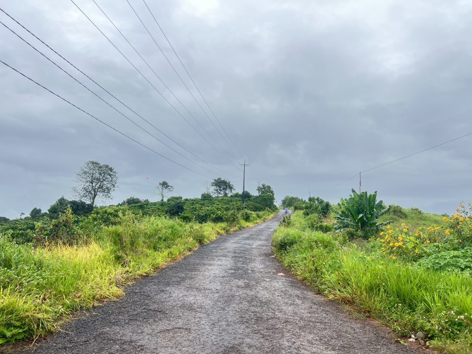 Đất Di Linh 350 triệu/lô, view đồi núi chill, xe tải tránh nhau vô tư