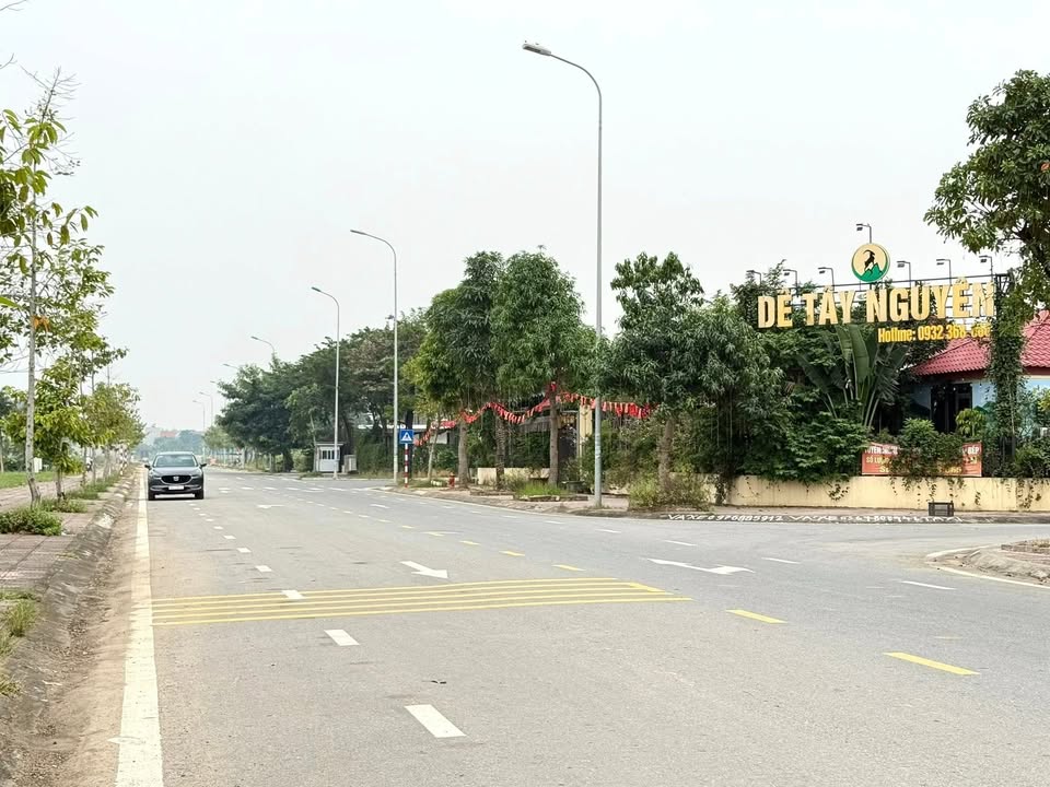 Siêu phẩm đất đấu giá khu Nam Vĩnh Yên