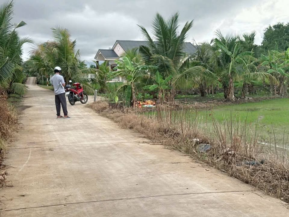 Đất ruộng mặt tiền siêu hot, giá chỉ hơn 200 triệu/1000m²