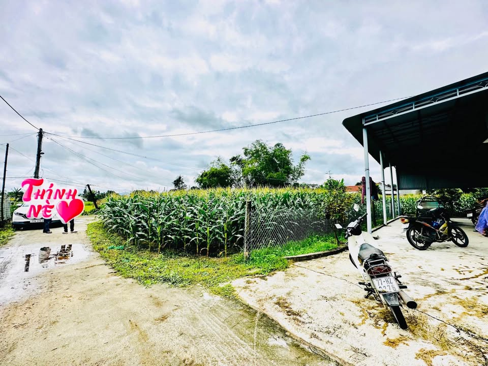 Khám phá lô đất tuyệt đẹp tại Thuận Nhứt, Bình Thuận, vị trí Tây Sơn đắc địa đang chờ đón chủ nhân mới