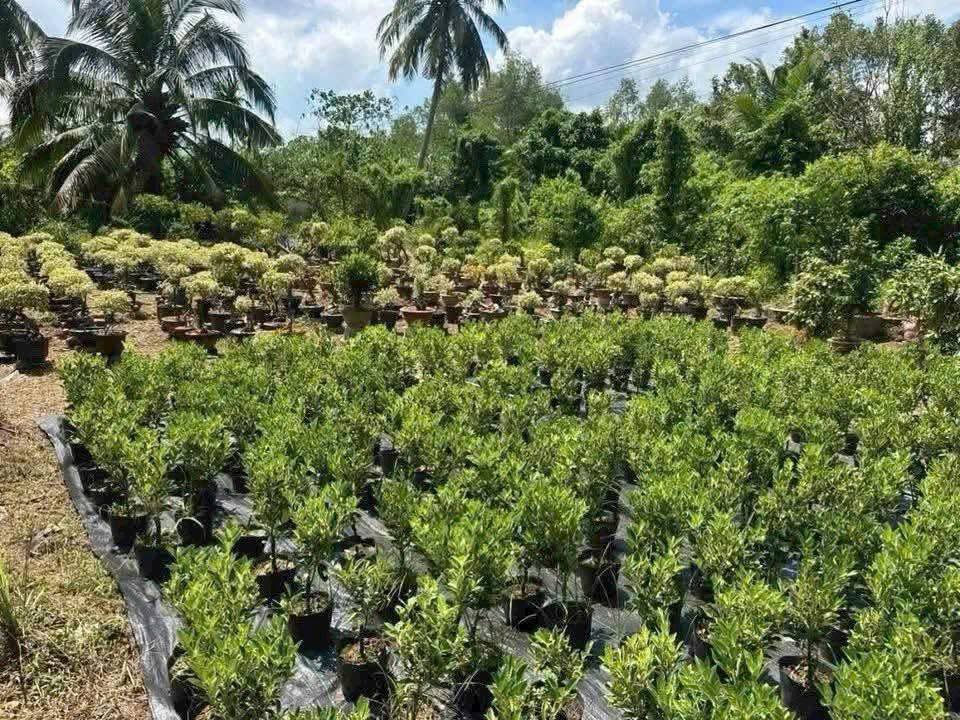 Bán gấp 18.000m2 đất tặng nhà mới keng, đường ô tô tới tận nơi