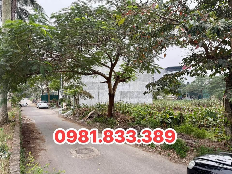 Bán nhanh lô đất vàng mặt QL1A, Phủ Lý 81m2, mặt tiền 5m, hướng Đông