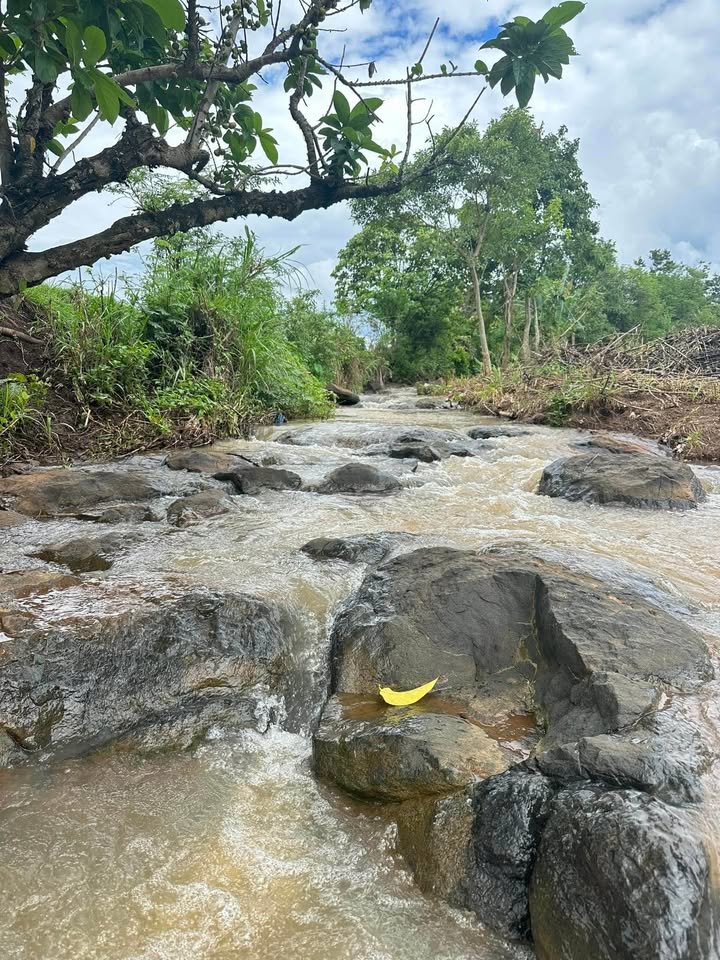 Bán đất nền diện tích lớn 2000m2, sở hữu vị trí đắc địa tại đầu nguồn Hồ K'Bin, tỉnh Đắk Lắk