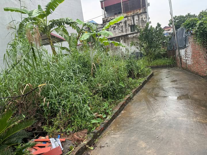 Đất Việt Hưng nhỉnh 5 tỷ, ô tô đỗ cổng, diện tích 65m2, cơ hội vàng cho nhà đầu tư