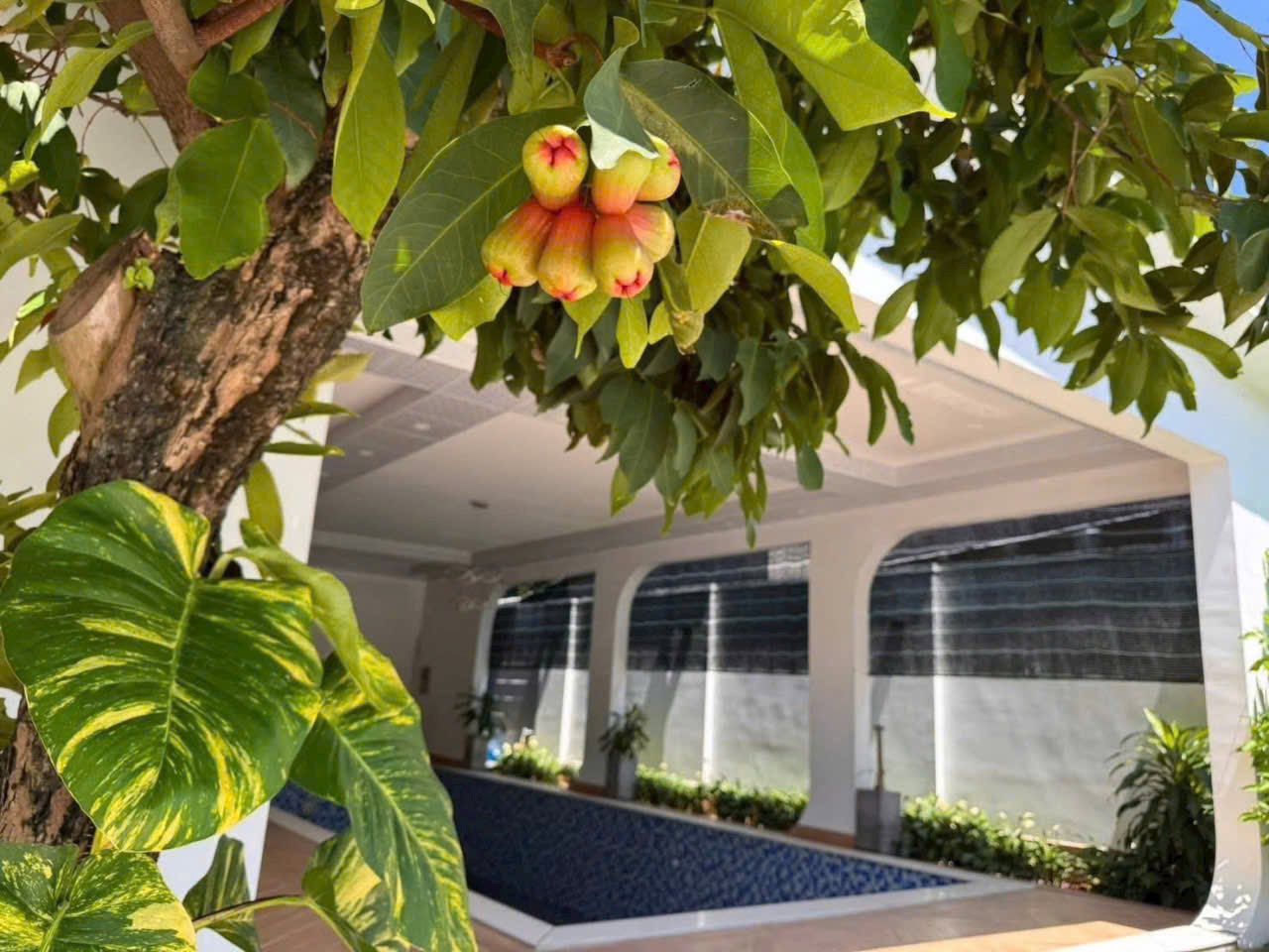 Biệt thự vườn 590m² có hồ bơi, sân vườn rộng rãi, ngõ 1 ô tô, 13,5 tỷ