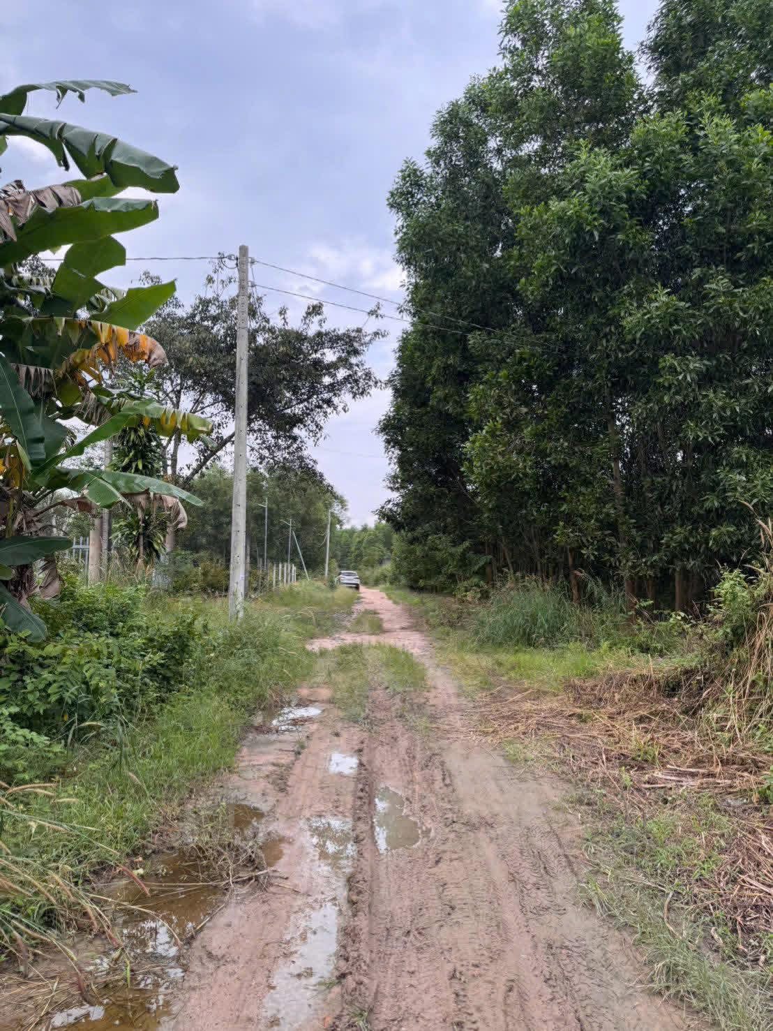 Đất Mỹ Xuân 3 mặt tiền, 10.403m2, giá 30 tỷ chốt deal