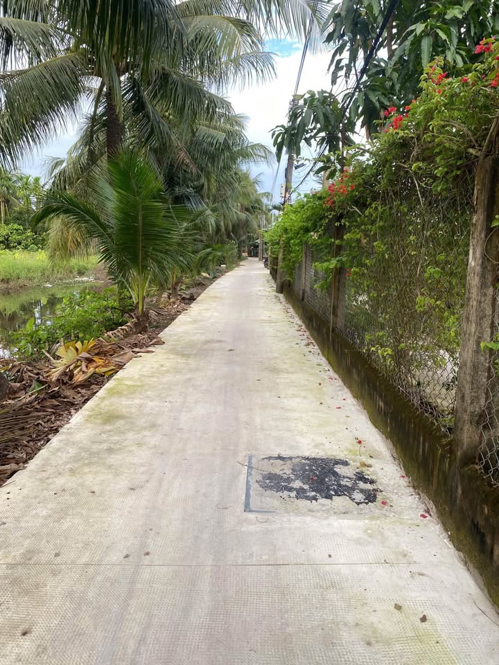 Cho thuê nhà nguyên căn mặt tiền đường Kênh An Hiệp, phường Sóc Trăng, thành phố Cần Thơ